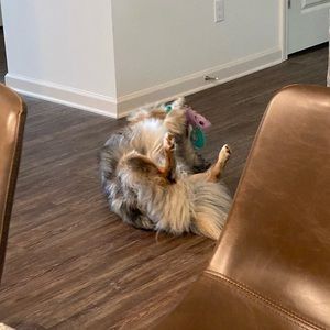 Meet your Posher, Harrison